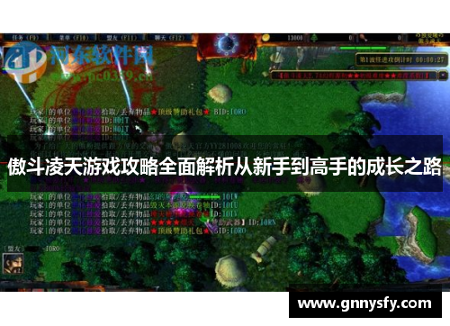 傲斗凌天游戏攻略全面解析从新手到高手的成长之路